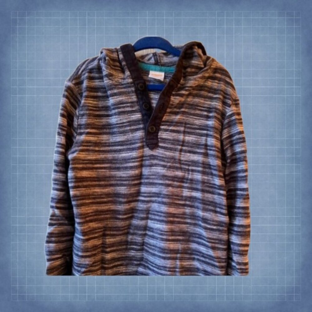 Gymboree Hooded Long Sleeve Shirt